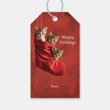 Drei Kätzchen in einem Weihnachtsstrumpf Geschenka