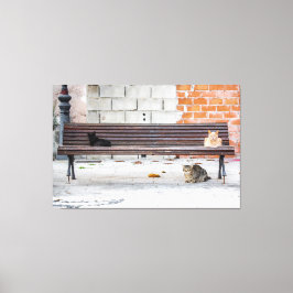 Drei Katzen auf einer Bank Leinwanddruck