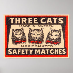 Drei Katzen-Sicherheits-Match-Aufkleber Poster