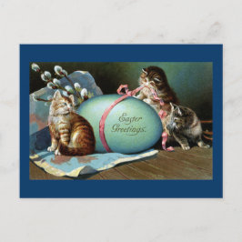 Drei Katzen und Big Blue Oaster Egg Feiertagspostkarte