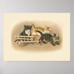 Drei kleine Kätzchen Poster