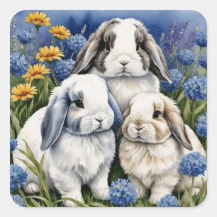 Drei kleine Lop Bunny Rabbits Square Sticker