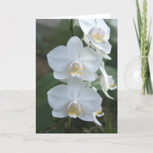 Drei kleine Mädchen-Gruß-Karte Karte