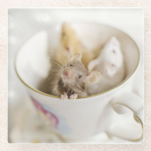 Drei kleine Mäuse Glasuntersetzer