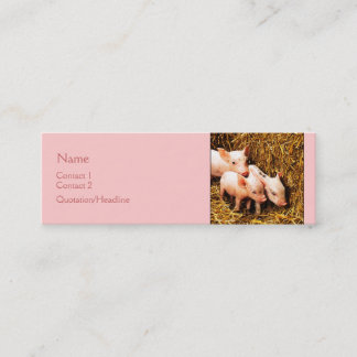 Drei kleine Schweine Mini Visitenkarte