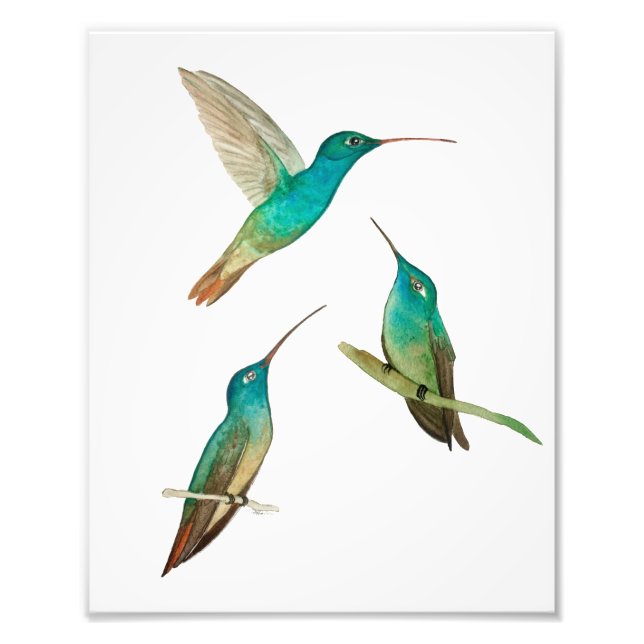 Drei Kolibris  Fotodruck (Vorne)