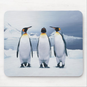 Drei König Pinguine Mousepad