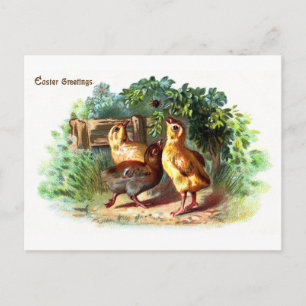 Drei Küken und eine Spinne Vintage Ostern Feiertagspostkarte