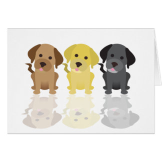 Drei Labrador-Retriever