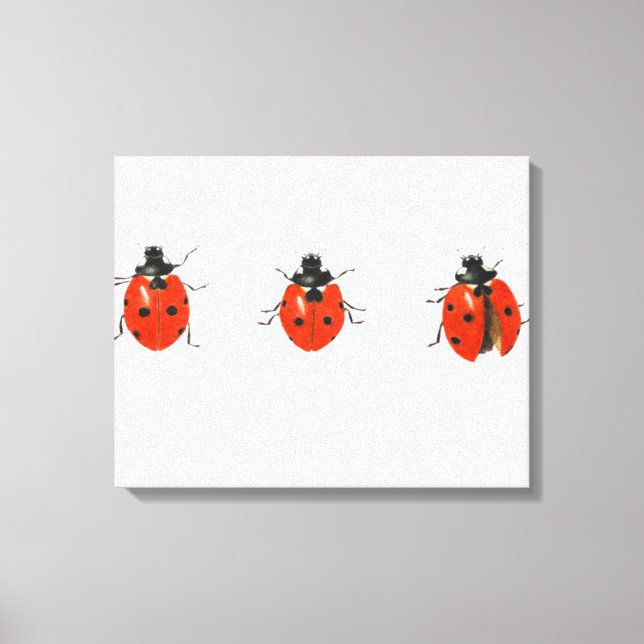 Drei Ladybirds 2013 Leinwanddruck (Vorderseite)