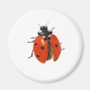 Drei Ladybirds 2013 Magnet