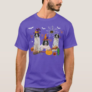 Drei Landseer Hunde Hexenhunde Halloween Mummy Beä T-Shirt