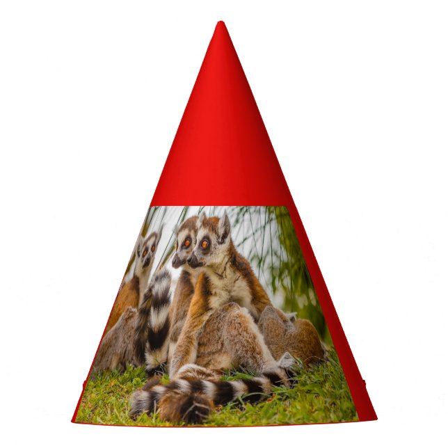 drei Lemuren auf Party Hat Partyhütchen (Vorderseite)