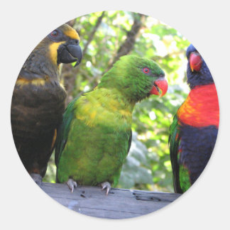 Drei Lorikeets Runder Aufkleber
