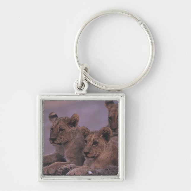 Drei Löwe CUB Schlüsselanhänger (Vorne)