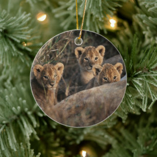 Drei Löwenjunge mit Mutter Keramik Ornament