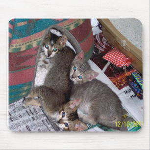Drei Mädchen Mousepad
