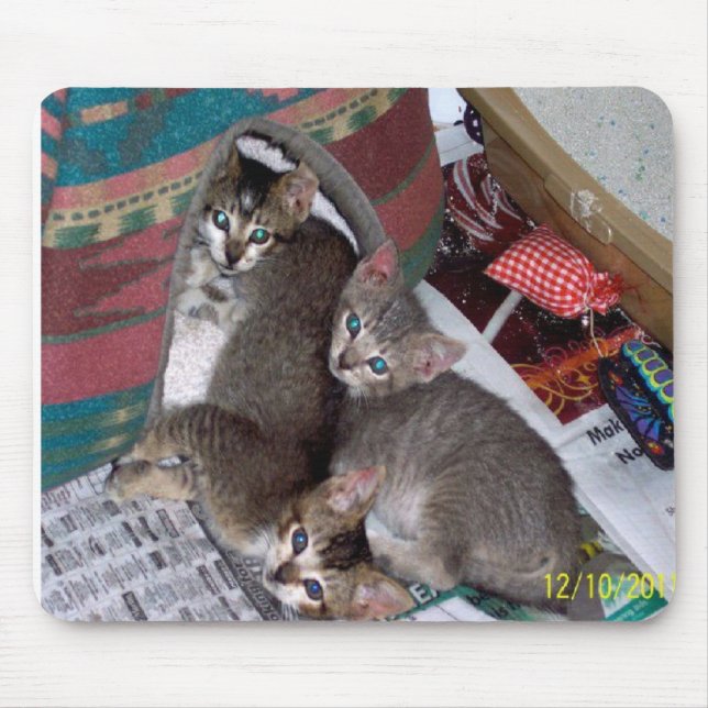 Drei Mädchen Mousepad (Vorne)