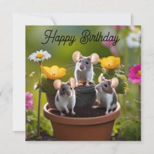 drei Mäuse in Blume Pots,