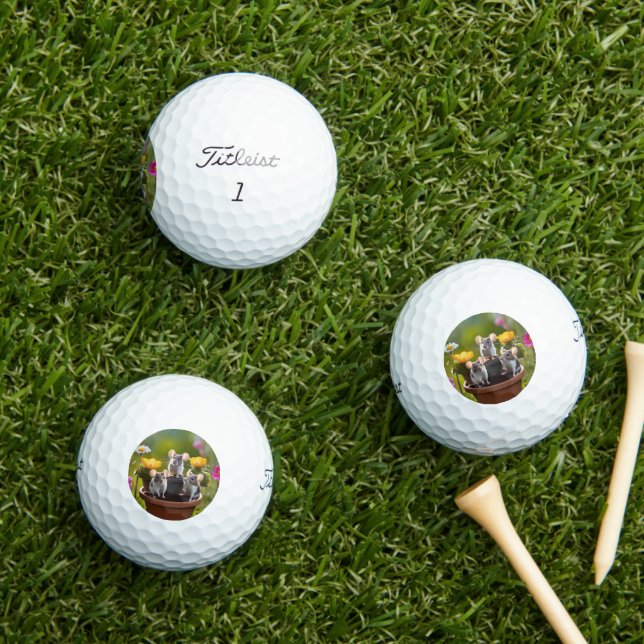 drei Mäuse in Blume Pots, Golfball (Insitu Gras)