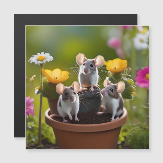drei Mäuse in Blume Pots, Magnetkarte (Vorne/Hinten)