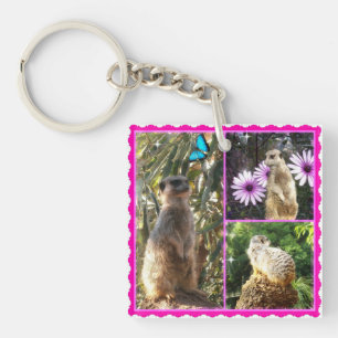 Drei Meerkat-FotoCollage, Keyring Schlüsselanhänger