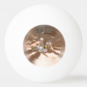 Drei Meerkats Spaß in der Sonne, Ping Pong Ball Tischtennisball