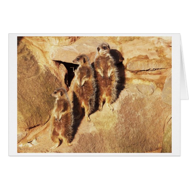 Drei Mekka (Vorderseite (Horizontal))