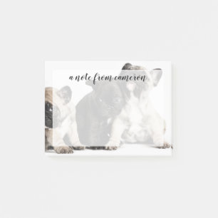 Drei Mops Welpen Post-it Klebezettel