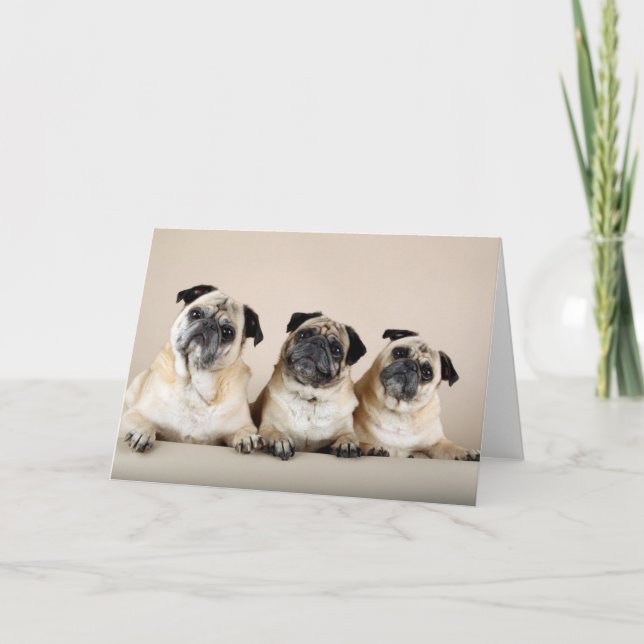 Drei Möpsen Karte (Vorderseite)