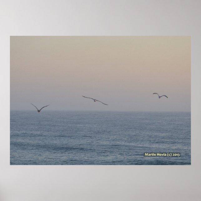 Drei Möwen Poster (Vorne)