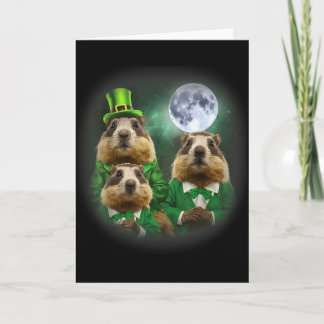 Drei Murmeltier Mond 3 Murmeltiertag Kopf St. Patr Karte