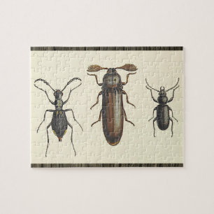 Drei nebeneinander angeordnete Insekten-Puzzle Puzzle