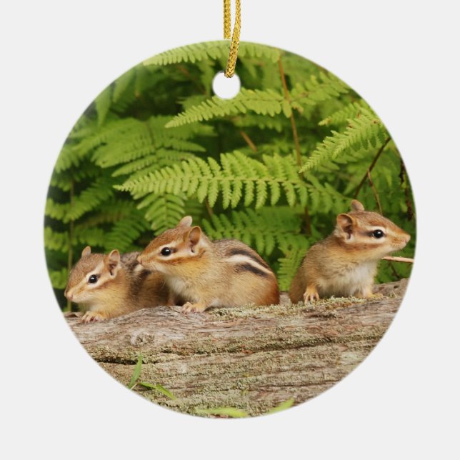 Drei niedliche BabyChipmunks Keramikornament (Vorne)