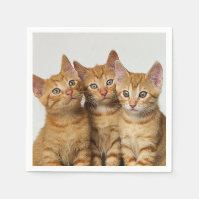Drei Niedliche Ginger Cat Kittens Friends Head Fot Serviette (Vorderseite)