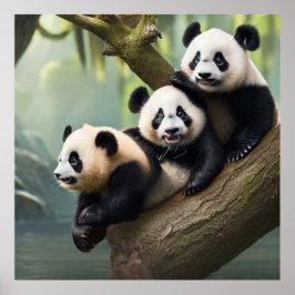 Drei Niedliche kleine Pandas posieren für die Kame Poster