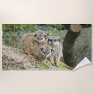 Drei Niedliche Meerkat Beach Handtuch