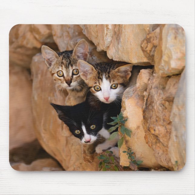 Drei niedliche Neugeborene Mousepad (Vorne)