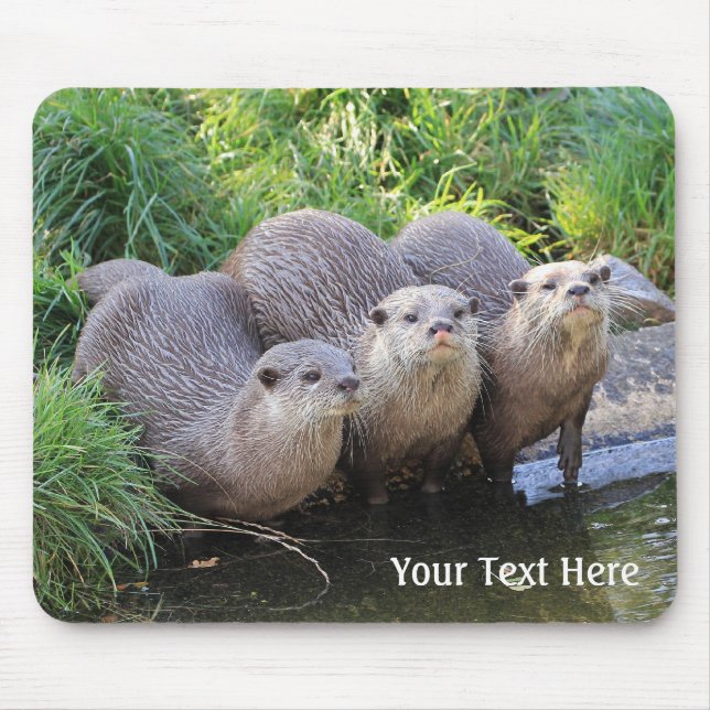 Drei niedliche Otter-Tier-Fotografie Mousepad (Vorne)