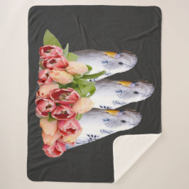 drei niedliche weisse Wellensittiche Sherpadecke