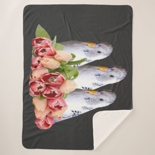 drei niedliche weisse Wellensittiche Sherpadecke (Vorderseite)