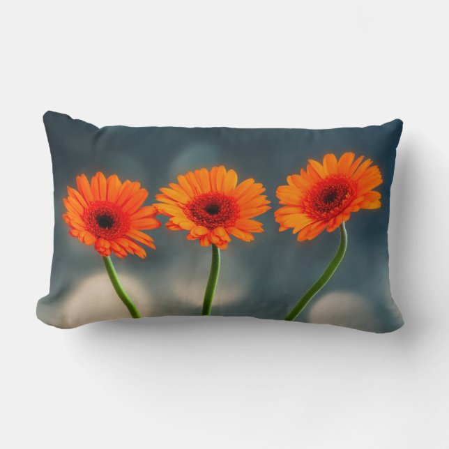 Drei Orange Gerberas in einer Reihe Lumbalkissen Lendenkissen (Vorderseite)