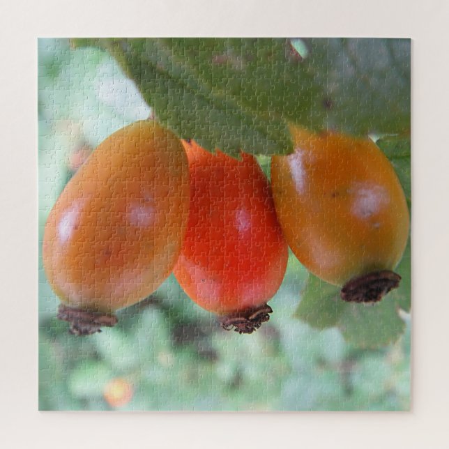 Drei orange Hagebutten Puzzle (Vertikal)