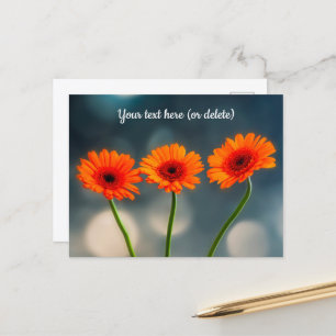 Drei orangefarbene Gerberas in einer Reihe Postkar Postkarte