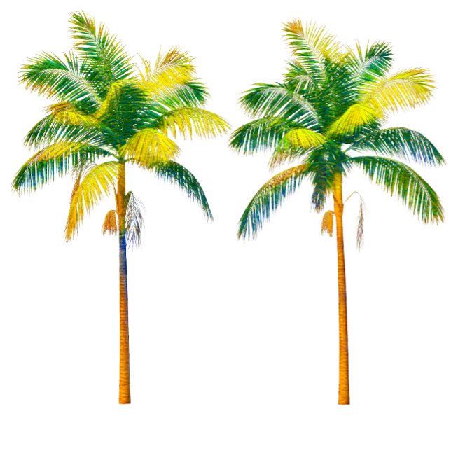 Drei Palmen T-Shirt (Von Creator hochgeladen)