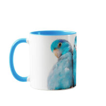 Drei Papageien pazifische blaue Parrotlet