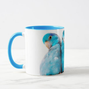 Drei Papageien pazifische blaue Parrotlet Tasse