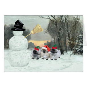 Drei Pekingese-Welpen Weihnachten