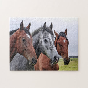 Drei Pferde Jigsaw Puzzle