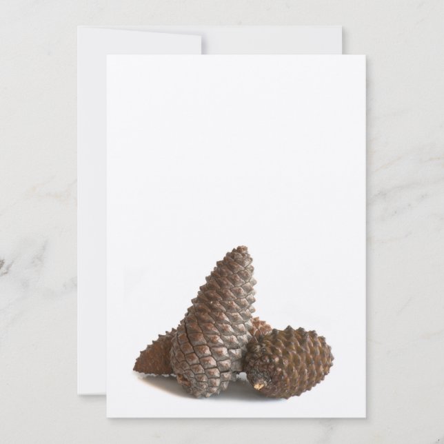 Drei pinecones (Vorderseite)